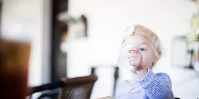 Dining Out with Toddlers: Tips for Stress-Free Family Meals