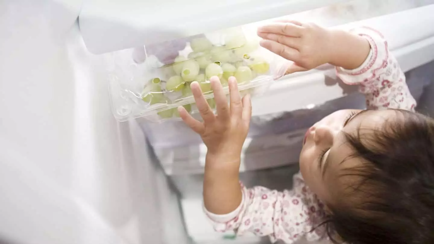 Ensuring Safe Eating Practices for Toddlers: A Parent’s Guide